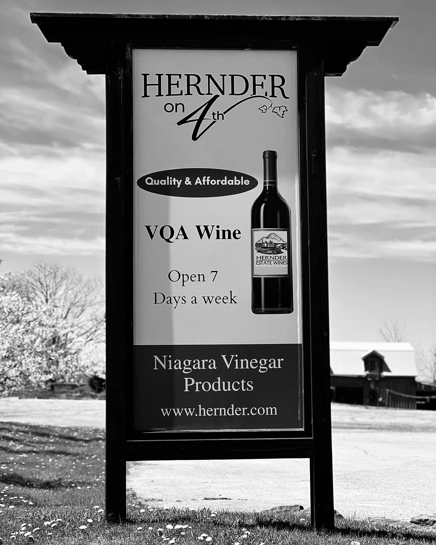 Hernder Estate Wines - Licenced Patio Live Music